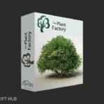 Vue R6.1 Build 6005878 PlantFactory & Extra 2021.1 {Crack + Patch}