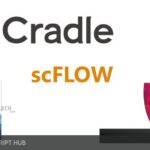 Cradle scFLOW 2020 Patch 6 Free Download  {Crack + Patch}