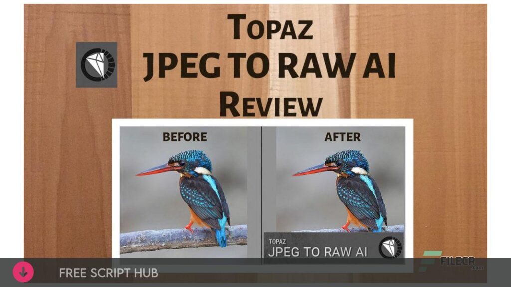 Topaz JPEG to RAW AI 2.2.1 Free Download  {Crack + Patch}