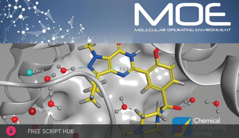 Chemical Computing Group MOE 2022.02  {Crack + Patch}