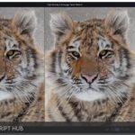 Topaz Photo AI Download (Latest 2024)   - For Windows