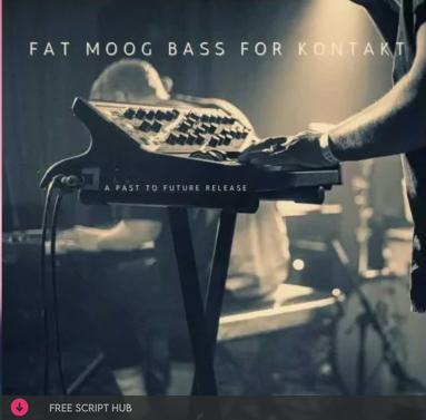 Free Download: Past to Future Reverbs – Fat Moog Bass (KONTAKT) [Windows]