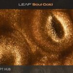 Free Download: Native Instruments – Leap Soul Gold (KONTAKT) [Windows]