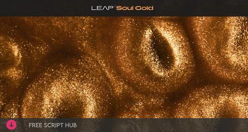 Free Download: Native Instruments – Leap Soul Gold (KONTAKT) [Windows]