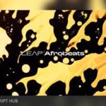 Free Download: Native Instruments – Leap Afrobeats (KONTAKT) [Windows]