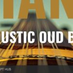 Free Download: Past to Future Reverbs – Giant Acoustic Round-Back Fretless Bass (KONTAKT) [Windows]