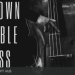 Free Download: Past to Future Reverbs – Motown Double Bass (KONTAKT) [Windows]