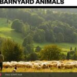 Free Download: Big Room Sound – Barnyard Animals (WAV) [Windows]