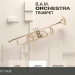 Free Download: SuperAudio – B.A.M. Orchestra Trumpet (KONTAKT) [Windows]