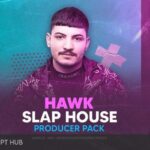 Free Download: Studio Tronnic – HAWK. Slap House Producer Pack WAV, LOOP [Windows]