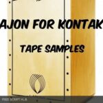 Free Download: Past to Future Reverbs – P2F Cajon (KONTAKT) [Windows]