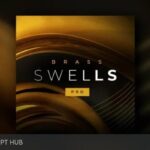 Free Download: Sonixinema – Brass Swells 1.0.1 (KONTAKT) [Windows]