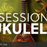 Free Download: Native Instruments – Session Ukulele (KONTAKT) [Windows]