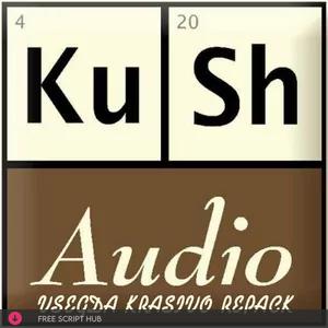 Free Download: Kush Audio – RePack Auto-installation VST3, AAX x64 [Windows]