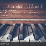 Free Download: Past to Future Reverbs – 12 BIT BLUES PIANO (KONTAKT) [Windows]