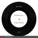 Free Download: Past to Future Reverbs – 100 RARE VINYL SNARE SAMPLES (KONTAKT) [Windows]