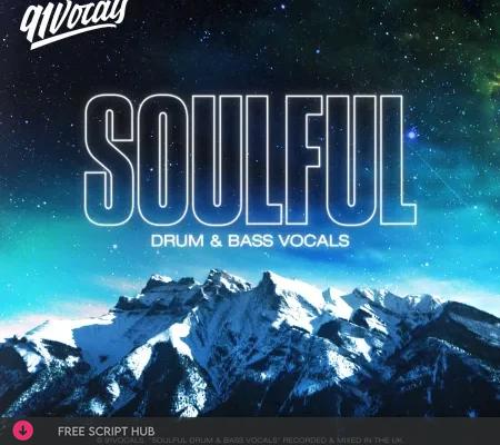 Free Download: 91Vocals – Soulful Drum & Bass Vocals (WAV)  [Windows]