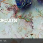 Free Download: HZE – HYBRID CIRCUITS (ONE SHOT KIT) (WAV) [Windows]