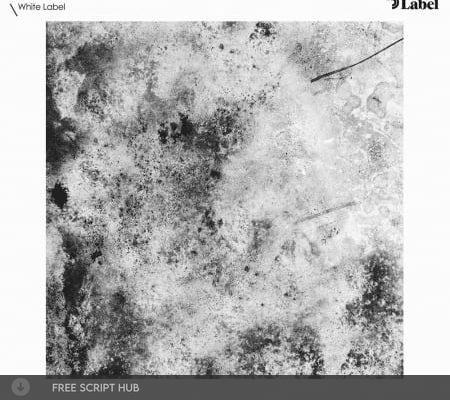 Free Download: Sample Magic – White Label – Dub Techno 2 (WAV) [Windows]