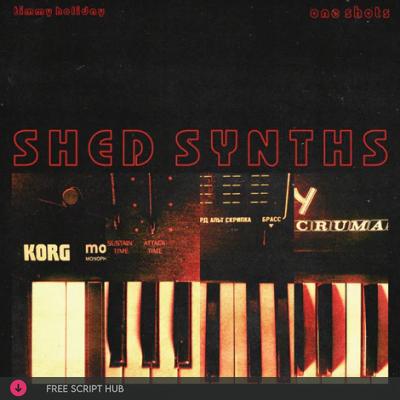 Free Download: Timmy Holiday – SHED SYNTHS (WAV) [Windows]