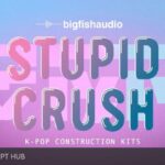 Free Download: Big Fish Audio – Stupid Crush K-Pop Construction Kits (MiDi, Acidized WAV) [Windows]