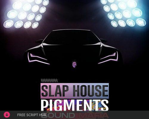 Free Download: Sound Mafia – Slap House Pigments- WAV Presets [Windows]