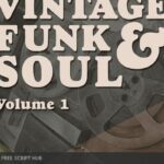 Free Download: The Loop Loft – Vintage Funk & Soul Down South (WAV) [Windows]