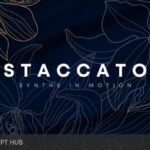 Free Download: Artistry Audio – Staccato (KONTAKT) [Windows]