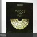 Free Download: Sonuscore – Woods Of The Wild (for Best Service) (KONTAKT) [Windows]