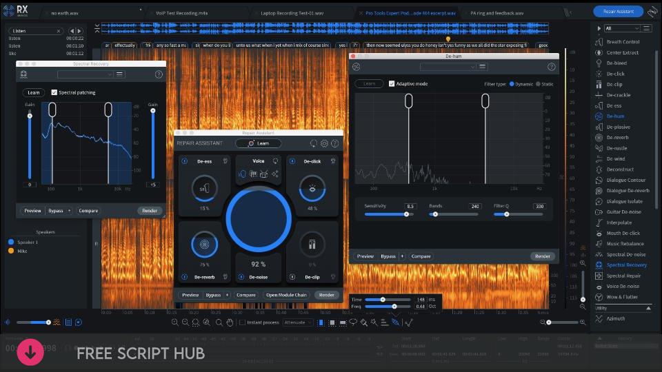 Free Download: iZotope – RX 10 Audio Editor Advanced v10.2.0 STANDALONE, VST3, AAX x64 [Windows]