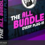 Free Download: Black Rooster Audio – The ALL Bundle v2.6.4 VST, AAX x64 [Windows]