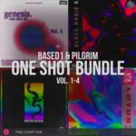 Free Download: Based1 & Pilgrim – ONE SHOT BUNDLE (WAV) [Windows]